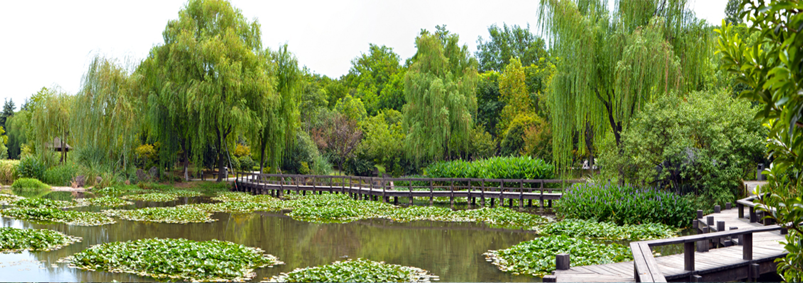 url(http://rilesphoto.com/theme/TP000163/pic/banner4.jpg)